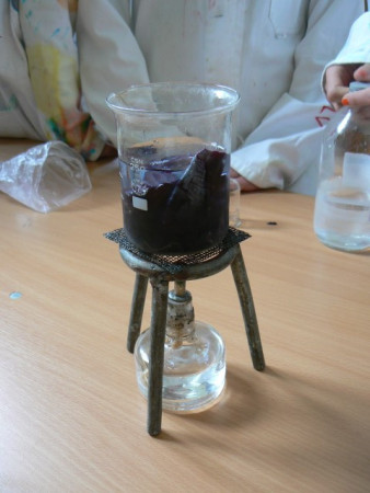 P1570007 (Small).JPG